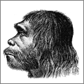 ¿Para qué clonar un mamut si podemos clonar un neandertal?