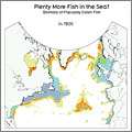 ¿Estamos dejando el Atlántico norte sin peces comestibles?