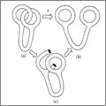 El puzzle topológico de los anillos